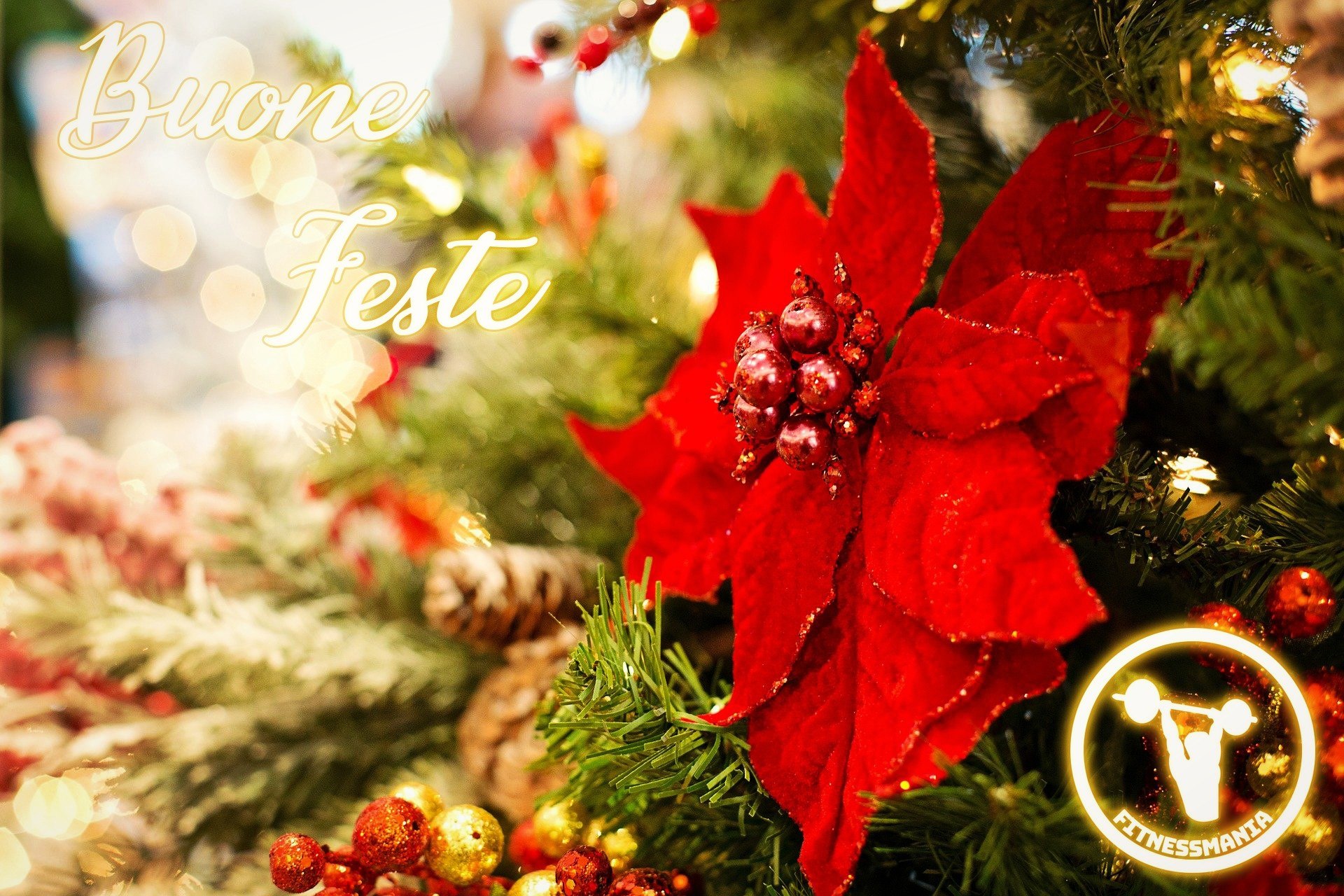 Natale 2020 - Buone Feste a Tutti! - Buon Natale a tutta la nostra gentile clientela da FITNESSMANIA!