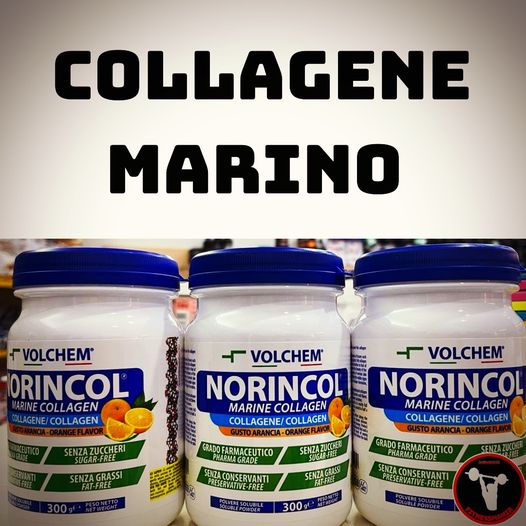 NORINCOL COLLAGENE MARINO - VOLCHEM