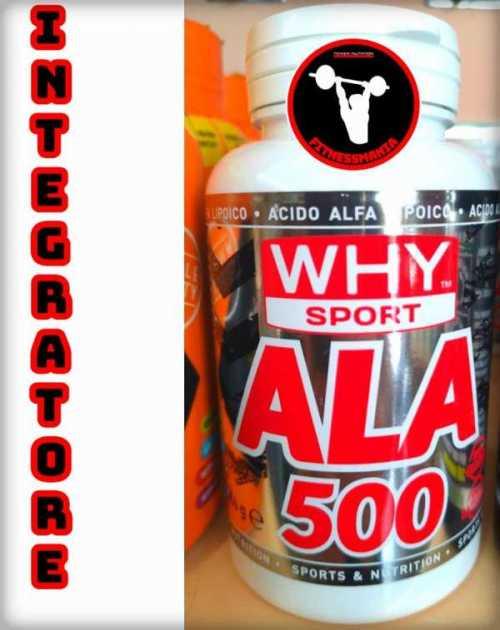 ALA 500 - WHY SPORT