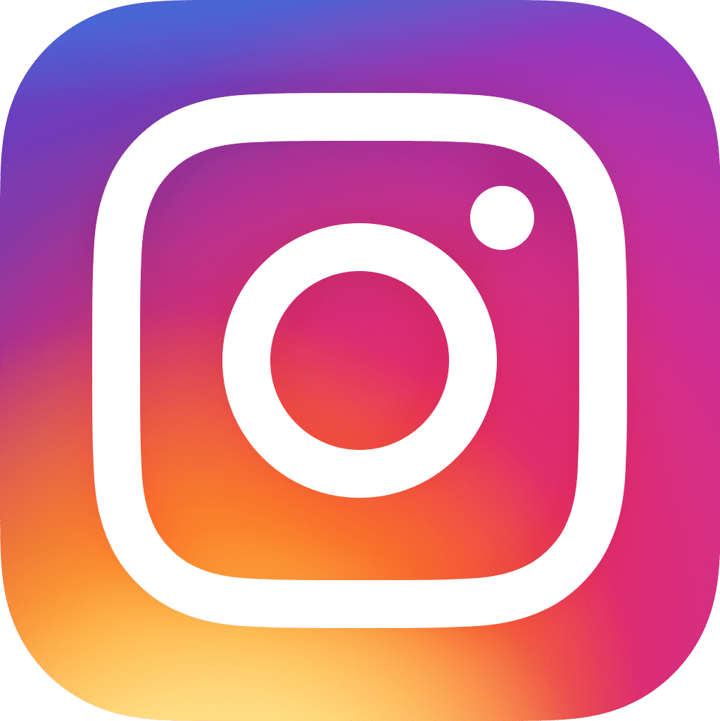 Instagram Icon Logo immagine logo icona